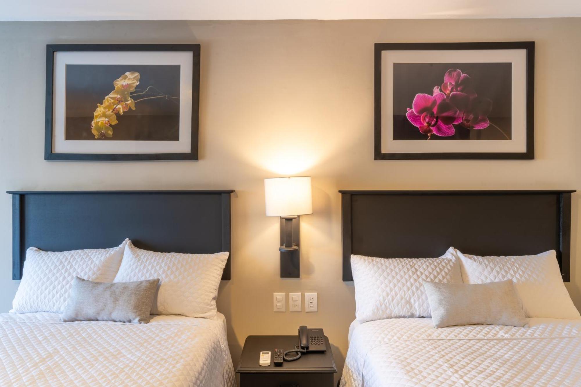 Conquistador Hotel & Conference Center Guatemala Dış mekan fotoğraf